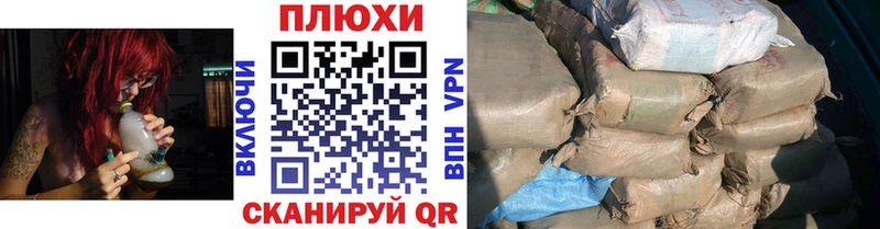 блэк спрут ссылка  Славск  Гашиш индика сатива 