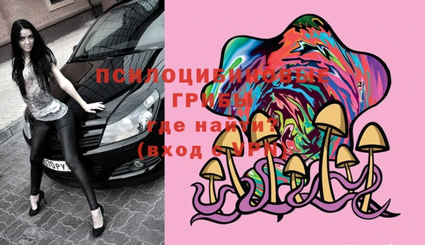 МДПВ Елизово