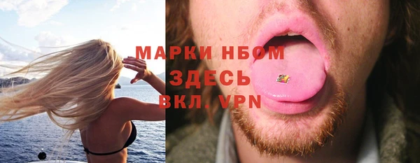 стафф Ельня