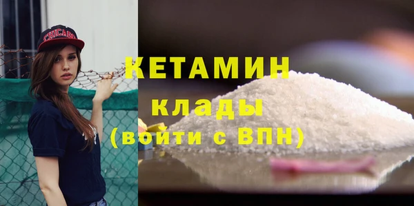 стафф Ельня