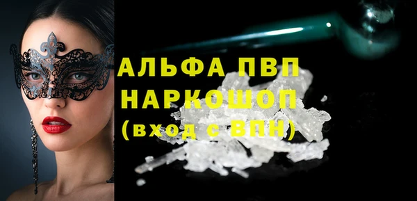 стафф Ельня