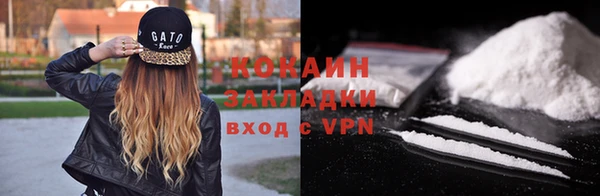 стафф Ельня