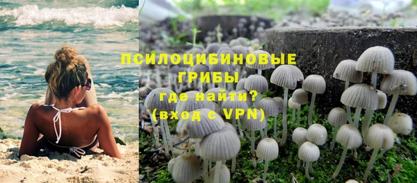 МДПВ Елизово