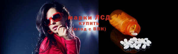 стафф Ельня