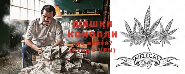 стафф Заводоуковск