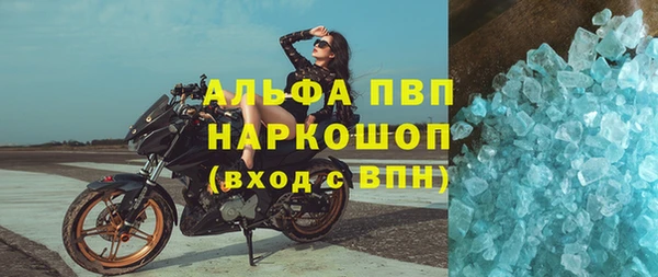 стафф Заводоуковск