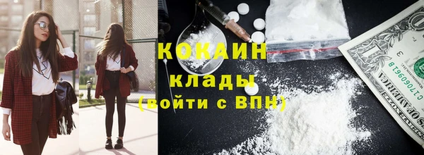 стафф Ельня