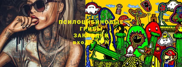 МДПВ Елизово
