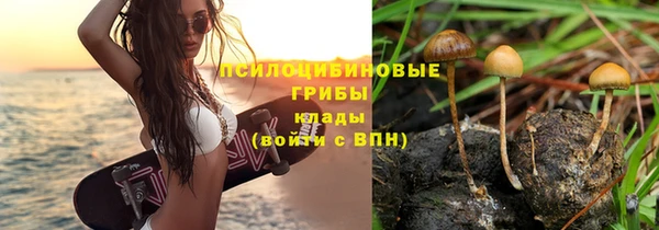 стафф Ельня